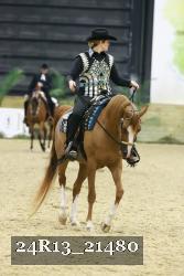 24R13_21480 thumbnail