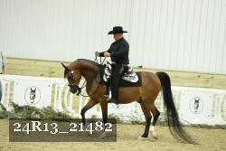 24R13_21482 thumbnail