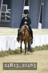 24R13_21485 thumbnail
