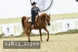 24R13_21500 thumbnail