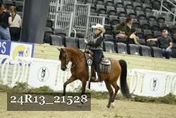 24R13_21528 thumbnail