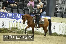 24R13_21529 thumbnail