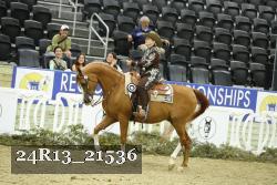 24R13_21536 thumbnail