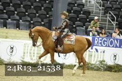 24R13_21538 thumbnail