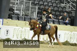 24R13_21540 thumbnail