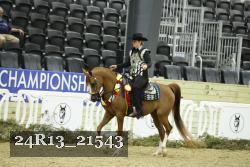 24R13_21543 thumbnail