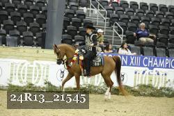 24R13_21545 thumbnail
