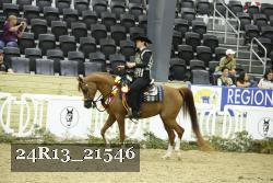 24R13_21546 thumbnail