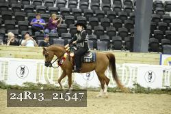 24R13_21547 thumbnail