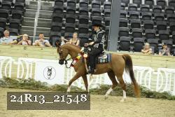 24R13_21548 thumbnail