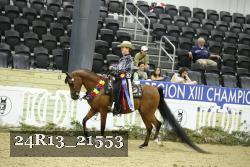 24R13_21553 thumbnail