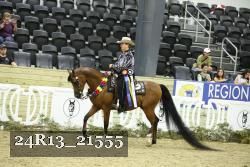 24R13_21555 thumbnail