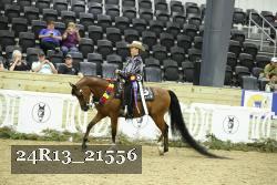 24R13_21556 thumbnail
