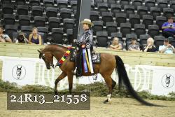 24R13_21558 thumbnail