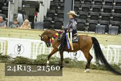 24R13_21560 thumbnail