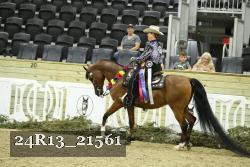 24R13_21561 thumbnail
