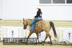 24R13_21585 thumbnail