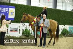 24R13_21641 thumbnail