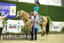 24R13_21645 thumbnail