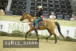 24R13_21666 thumbnail