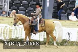 24R13_21668 thumbnail