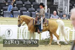 24R13_21670 thumbnail