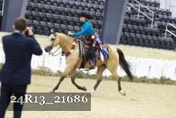 24R13_21686 thumbnail
