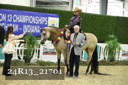 24R13_21701 thumbnail