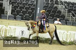 24R13_21705 thumbnail