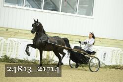 24R13_21714 thumbnail