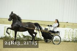 24R13_21715 thumbnail