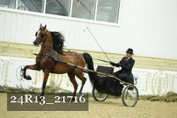 24R13_21716 thumbnail