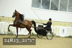24R13_21717 thumbnail