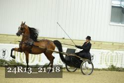 24R13_21718 thumbnail