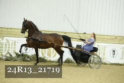 24R13_21719 thumbnail