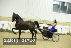 24R13_21720 thumbnail