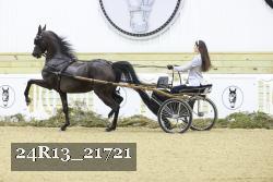 24R13_21721 thumbnail