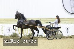 24R13_21722 thumbnail
