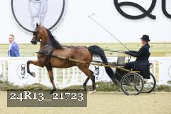 24R13_21723 thumbnail