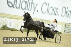 24R13_21724 thumbnail