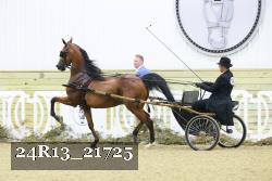 24R13_21725 thumbnail