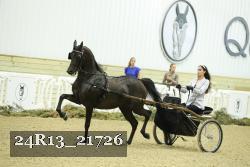 24R13_21726 thumbnail