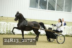24R13_21727 thumbnail