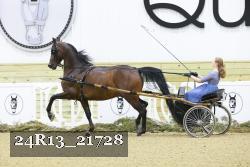 24R13_21728 thumbnail