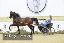 24R13_21729 thumbnail