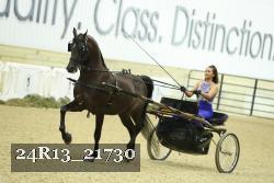 24R13_21730 thumbnail