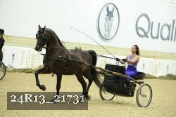 24R13_21731 thumbnail