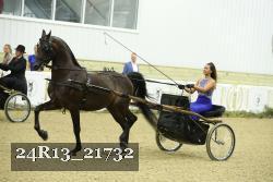 24R13_21732 thumbnail