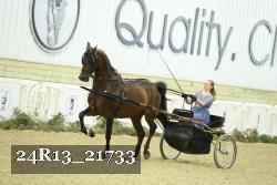 24R13_21733 thumbnail