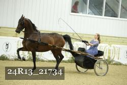 24R13_21734 thumbnail
